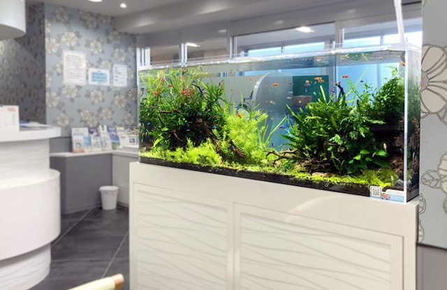 福岡アクアガーデン