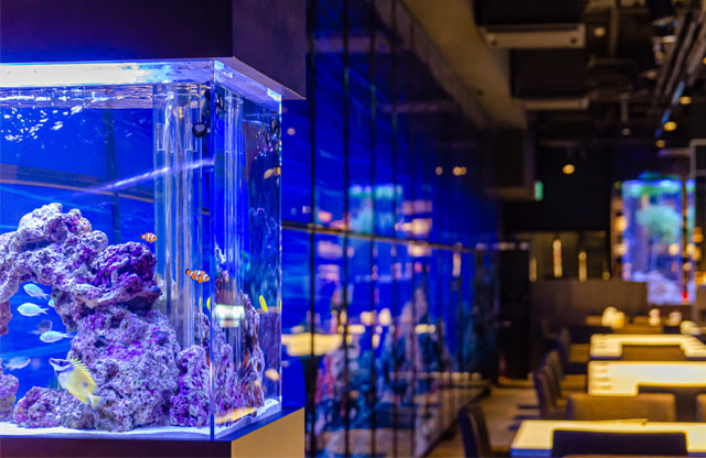 福岡アクアガーデン