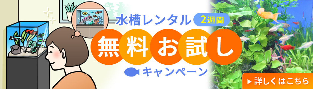 福岡アクアガーデン 2週間無料お試しレンタル
