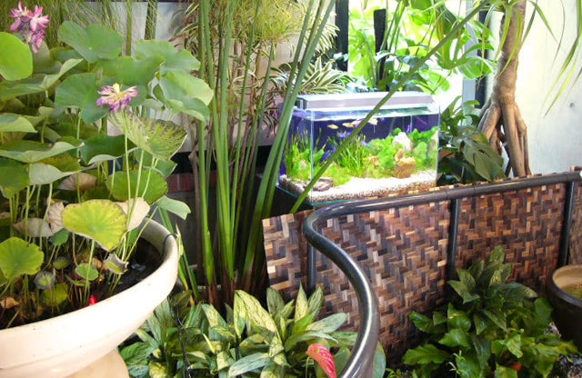 福岡アクアガーデン 水槽引っ越し・その他サービス