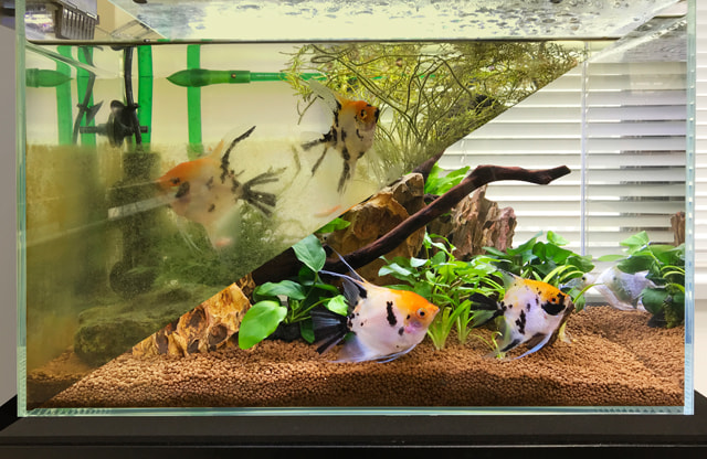 福岡アクアガーデン 水槽メンテナンスサービス