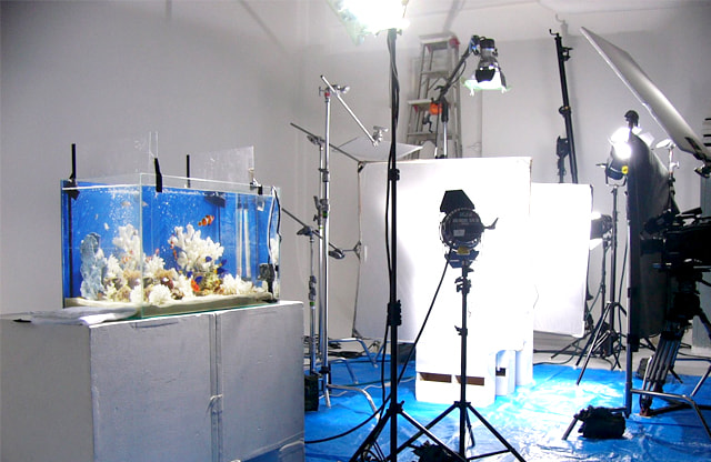 福岡アクアガーデン 水槽短期レンタルサービス