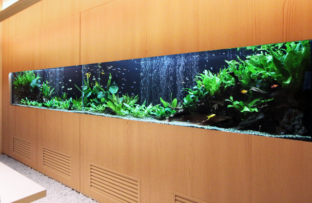 福岡アクアガーデン 大型水槽