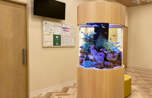 福岡アクアガーデン 円柱水槽