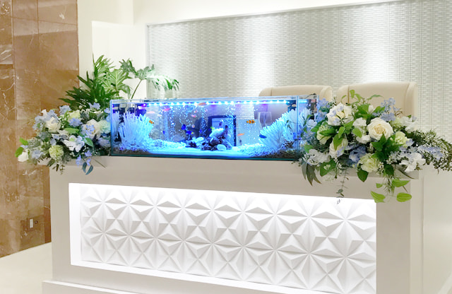 福岡アクアガーデン 短期レンタル水槽