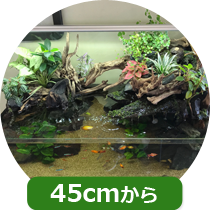 福岡アクアガーデン アクアテラリウム水槽の料金